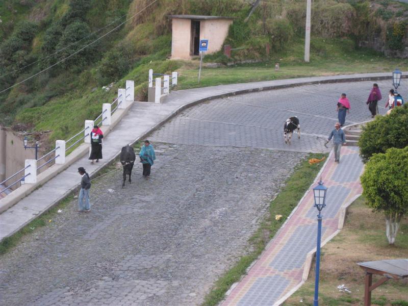 Händler auf dem Weg zum mercado animales