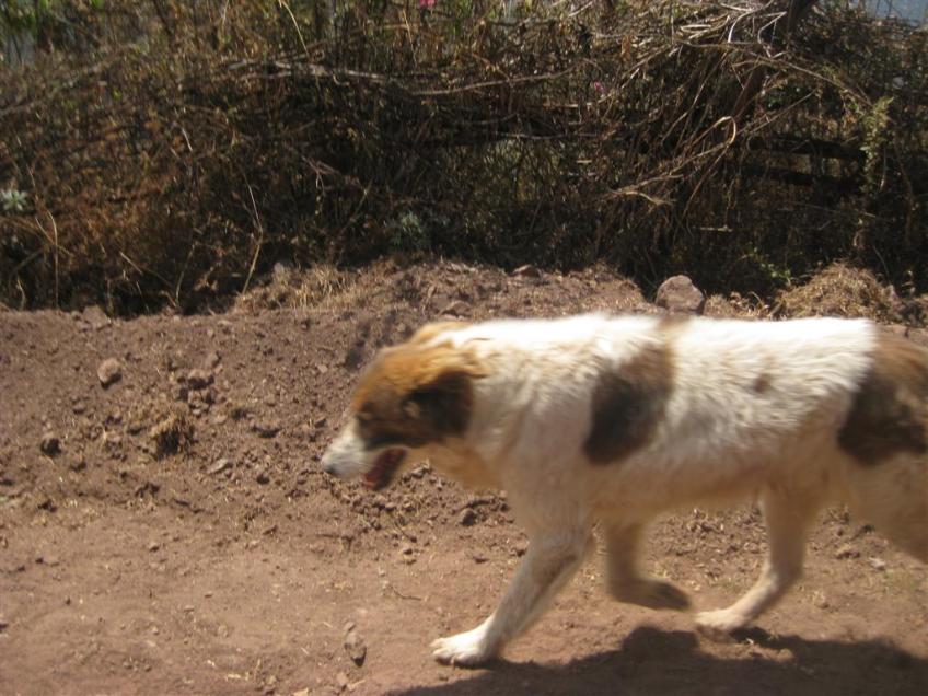 Geleitschutz bis zum Verpflegungszelt
